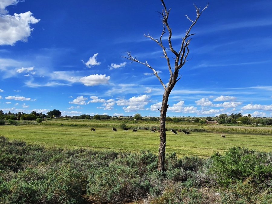 Commercial Property for Sale in Upington Rural Northern Cape